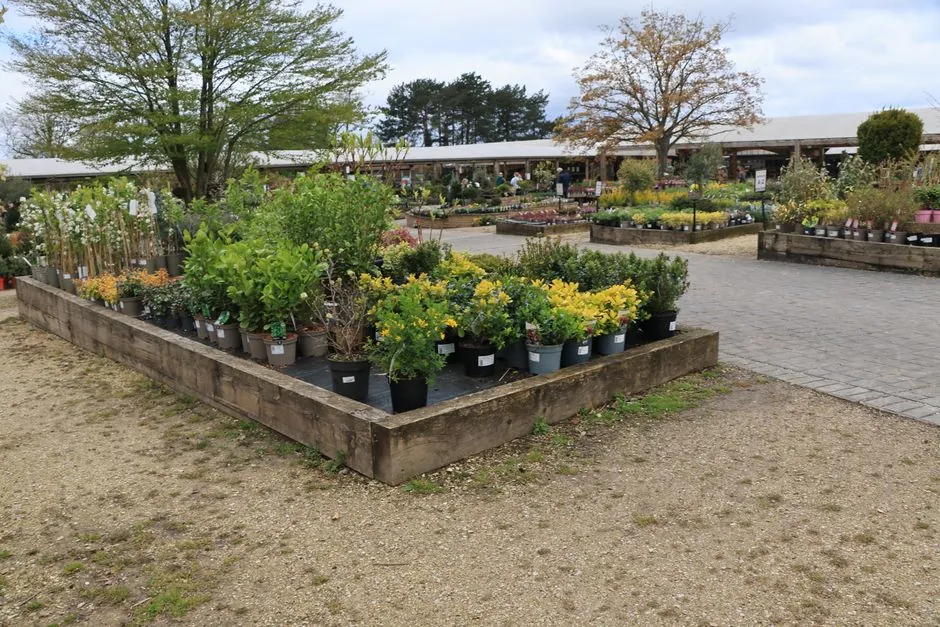 Détail d'un jardin entretenu par Jardin'est