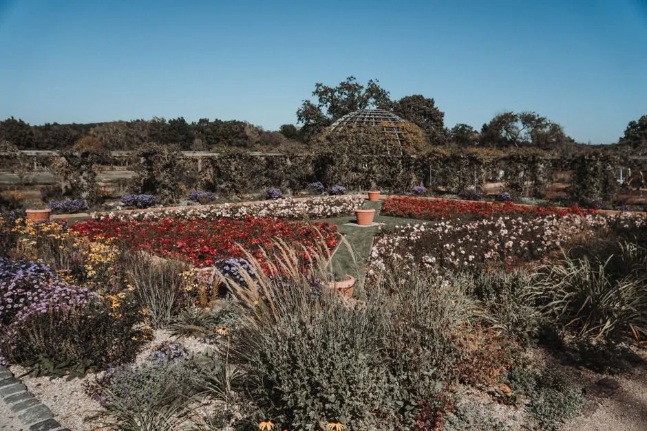 Jardin paysager soigné avec massifs et gazon