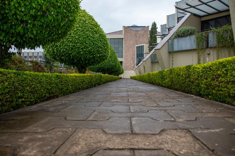 Allée et bordure végétale entretenues